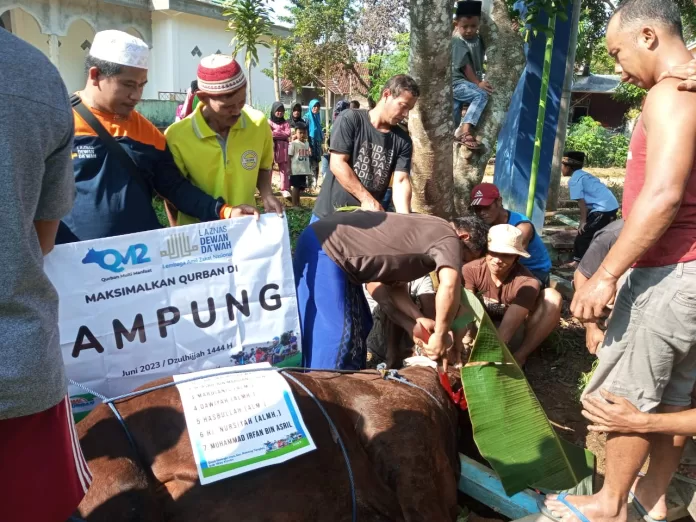 WhatsApp Image 2023-06-29 at 16.22.21