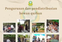 Pembagian 162 Paket Daging Qurban di PPTQ Dewan Dakwah Lampung Kemiling