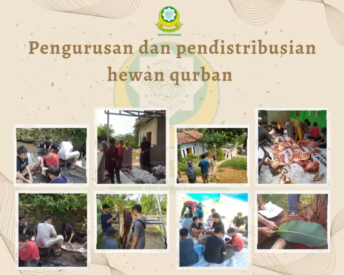 WhatsApp Image 2023-07-02 at 14.17.35