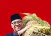 Ahmad Bastian SY : Petani Tidak Berdaya Ketika Mereka Panen