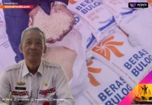 Pemkab Lampung Barat Jalin Kerja Sama dengan Bulog untuk Monitor Harga Beras