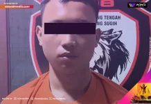 Pria 22 Tahun Diamankan Polisi Usai Mencuri Ayam Kontes Senilai Rp 9 Juta di Lampung