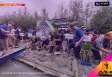 Pemprov Lampung dan Aktivis Lingkungan Tanam Ratusan Tanaman Bakau untuk Peringati Hari Mangrove Sedunia