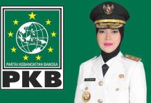 Demi Nyaleg Wagub Nunik Mundur dari Jabatan Wakil Gubernur Lampung