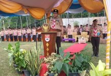 Peringati Hari Pramuka Ke-62 Kwarcab Mesuji Menanam 1000 Pohon dan Pawai 1000 Obor