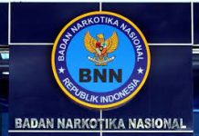 Kepala BNN Lampung Laporkan Edukasi 33 Ribu Pelajar SMP dalam Diskusi Narkoba bersama Abdul Hakim