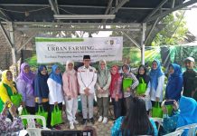 Mewujudkan Impian Kemandirian Pangan dengan Urban Farming: Pelatihan dari KAMI di Bandar Lampung