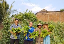 LAZDAI Peduli Borong Hasil Panen Petani di Gunung Terang untuk Kegiatan Jum’at Berkah