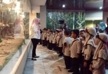 TKIT Qurrota A’yun Rajabasa, Geruduk Museum Lampung TKIT Qurrota A'yun
