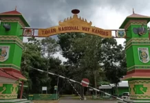 Taman Nasional Way Kambas Kembali Dibuka: Tidak Ada Kegiatan Tunggang Gajah dan Atraksi Demi Kesejahteraan Satwa. Taman Nasional Way Kambas