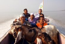 Dewan Dakwah Lampung Sebar Ratusan Hewan Qurban dan Khotib Idul Adha Se-Lampung