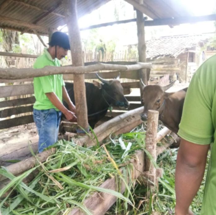 WhatsApp Image 2024-06-21 at 14.48.29