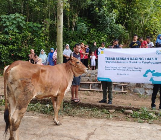 YBM PLN Gandeng LAZDAI Lampung Salurkan Kurban Di Pelosok Lampung