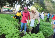 Panen Raya Lomba Menanam Sayuran Dies Natalis ke-59 Universitas Lampung