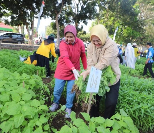 Panen Raya Lomba Menanam Sayuran Dies Natalis ke-59 Universitas Lampung