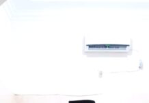 Sang Pipit Membuatku Malu