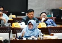 Anis Byarwati Desak Peran Strategis OJK: Soroti Tantangan Likuiditas dan Profitabilitas Perbankan