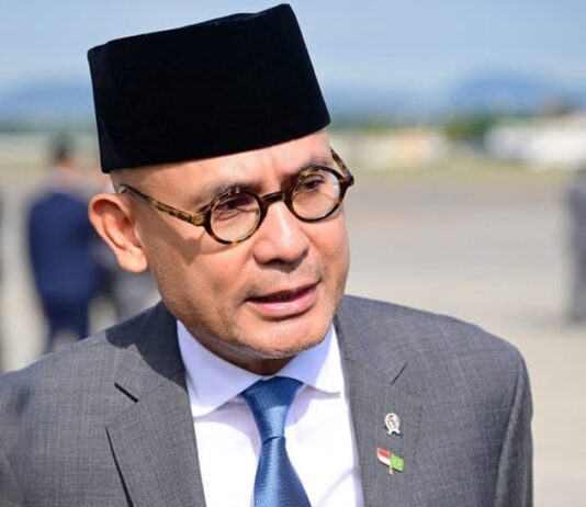 Wamenlu Imbau WNI di Luar Negeri Tak Terlibat Politik Domestik
