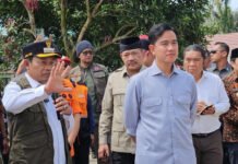 Sikap Pandji usai Coki-Muslim ngonten bareng Gibran singgung mens rea, sentil pendukung wapres