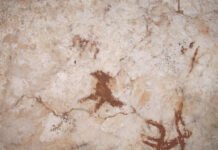 Lukisan gua tertua di dunia ditemukan di Sulawesi: Cap tangan ‘serupa cakar’ berusia 67.800 tahun