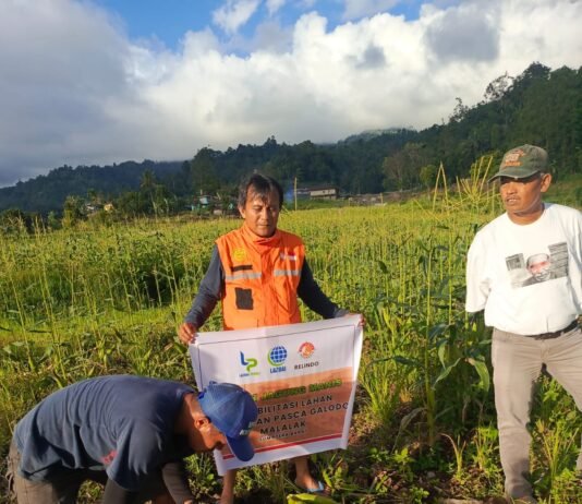 Masyarakat Lampung Turut Andil Pulihkan Lahan Malalak hingga Hasilkan Panen 1,2 Ton