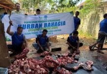 LAZDAI Lampung Sebar Hewan Kurban Di 2 Provinsi Indonesia Sampai Negara Palestina Pada Hari Pertama Idul Adha