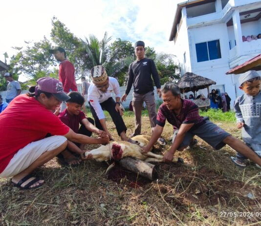 Qurban PPTQ MSI Lampung 1447 H Perkuat Nilai Sakai Sambayan dan Kepedulian Sosial Masyarakat Lampung