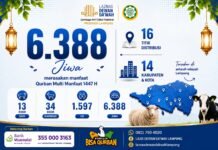 Qurban Multi Manfaat 1447 H, Laznas Dewan Dakwah Lampung Salurkan Manfaat kepada 6.388 Jiwa di 14 Kabupaten/Kota