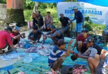 Setelah 5 Tahun Tanpa Kurban, Warga Relokasi Tsunami Kelumbayan Kembali Rasakan Kebahagiaan Idul Adha