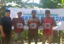 LAZDAI Lampung Salurkan 85 Sapi dan 42 Kambing Di Indonesia Hingga Palestina