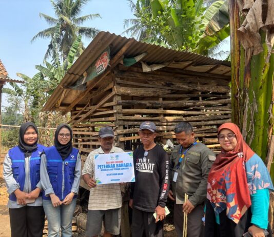 Dari Dua Kambing jadi 25 Ekor, Program Peternak Bahagia Lazdai Peduli Berbuah Manis